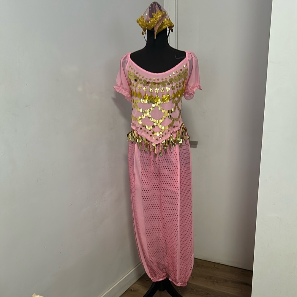 Pink and Gold Costume Set